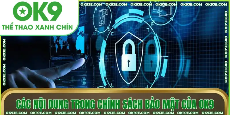 Các nội dung trong chính sách bảo mật của OK9