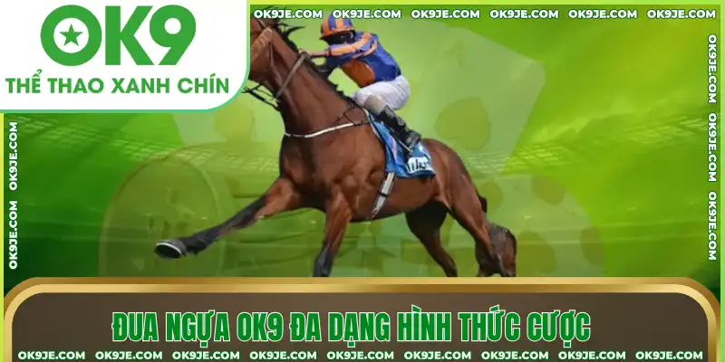 Đua ngựa OK9 đa dạng hình thức cược