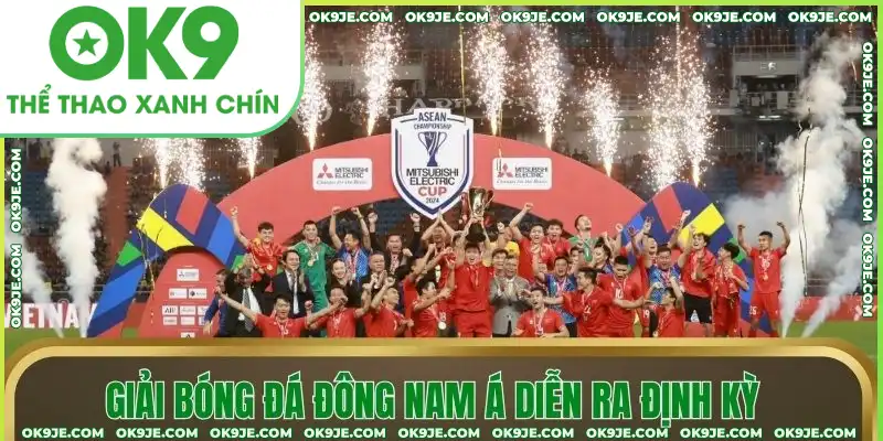 Giải Bóng đá Đông Nam Á diễn ra đều đặn