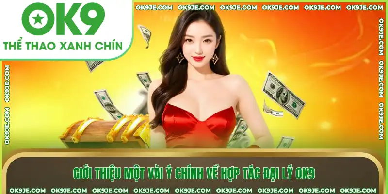 Giới thiệu một vài ý chính về hợp tác đại lý OK9
