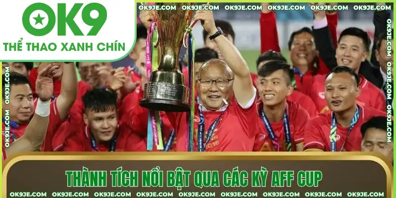 Thành tích nổi bật qua các kỳ AFF Cup
