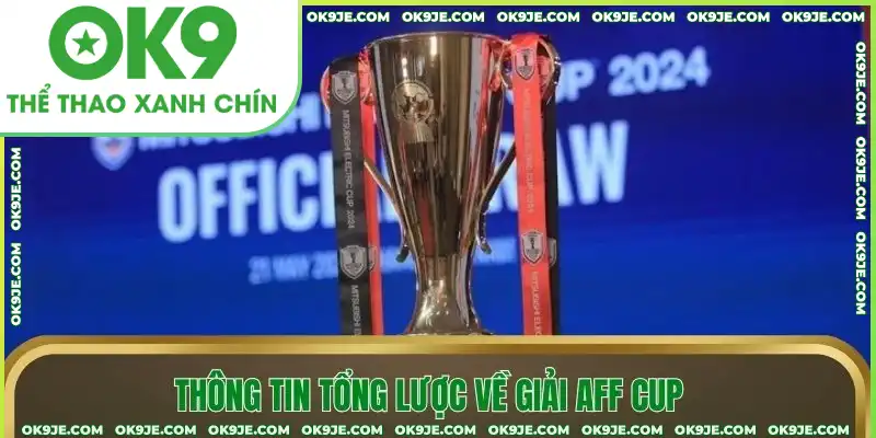 Thông tin tổng lược về giải AFF