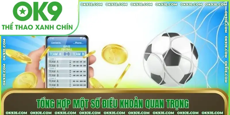 Tổng hợp một số điều khoản quan trọng