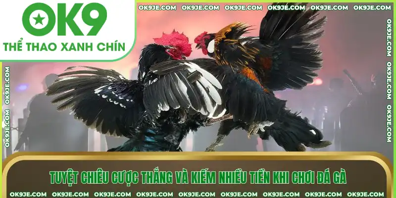 Tuyệt chiêu cược thắng và kiếm nhiều tiền khi chơi đá gà